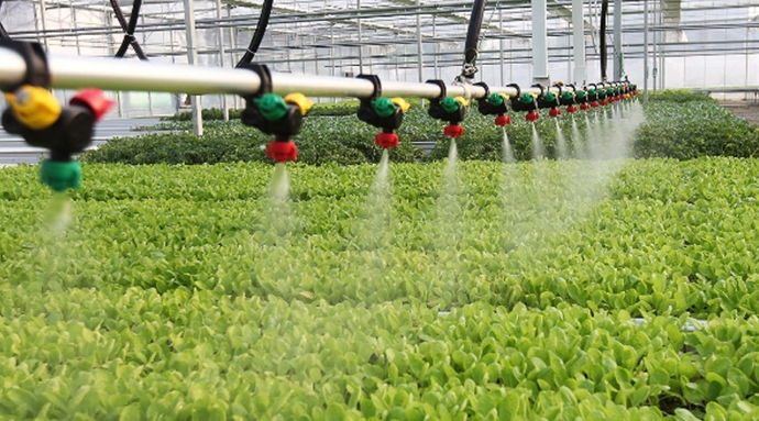 Automated Irrigation System