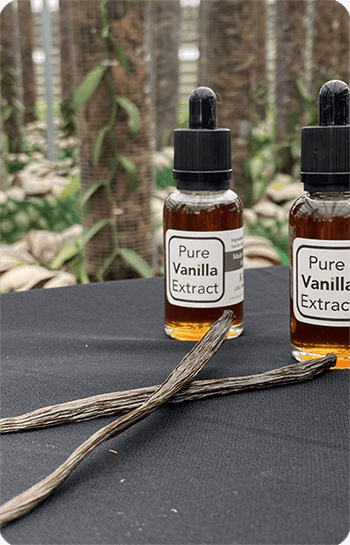 Vanilla Extract-img